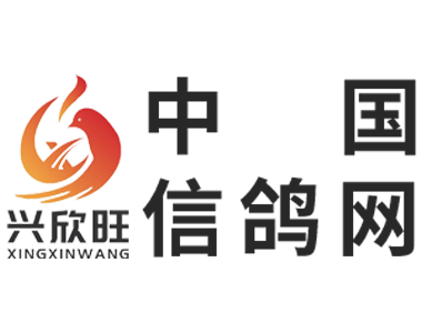 中国信鸽网