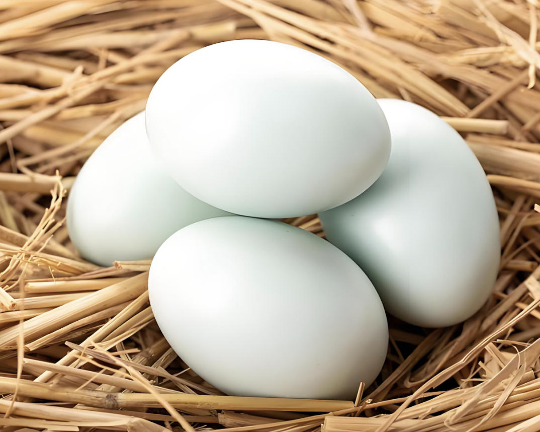 鸭蛋