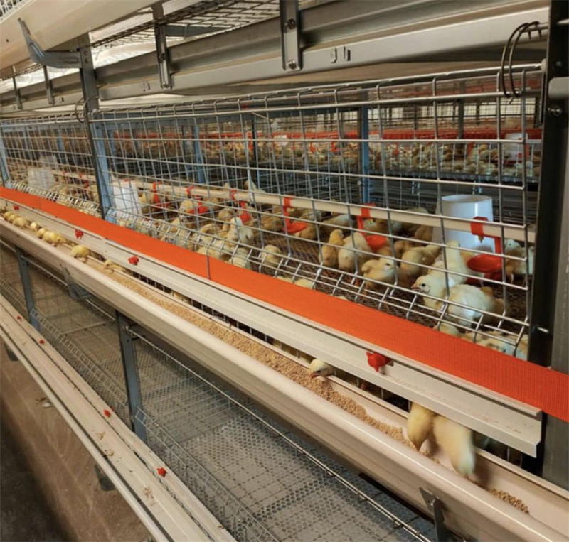 内江正邦养殖有限公司	