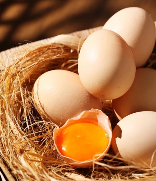 鸡蛋